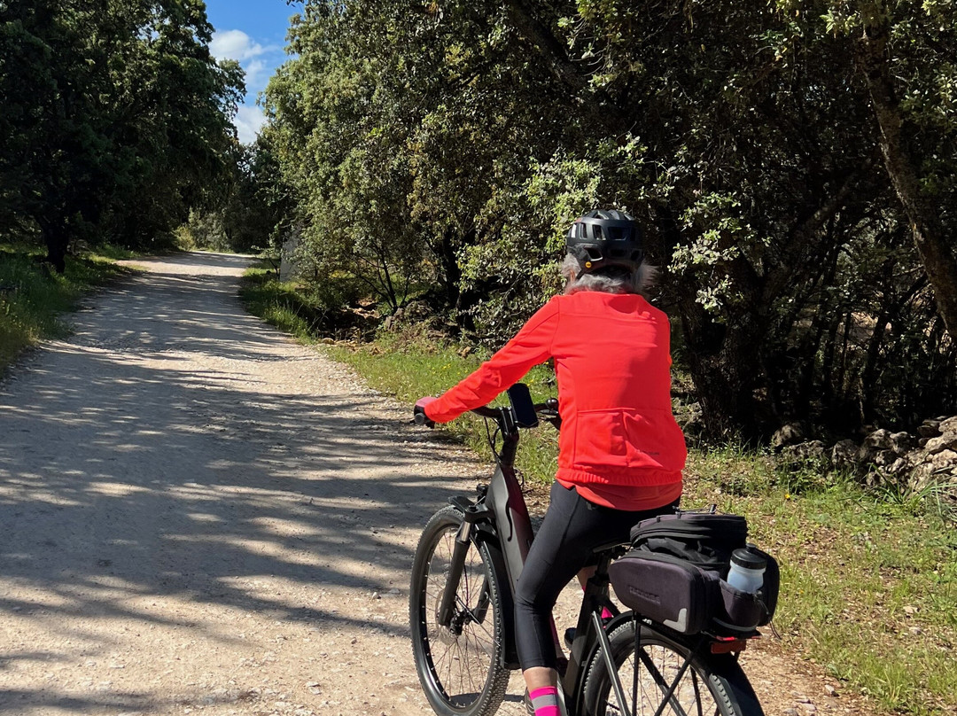 Andalucian Cycling Experience Day Trips景点图片