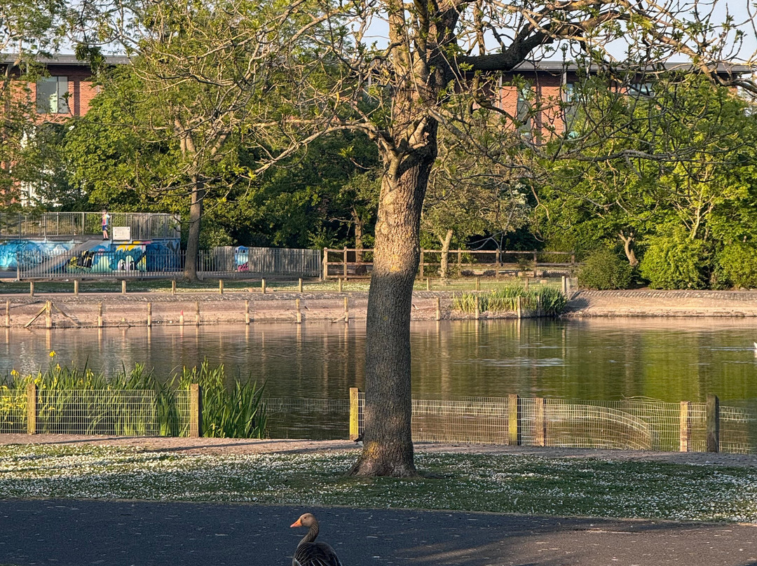 Barrow Park景点图片