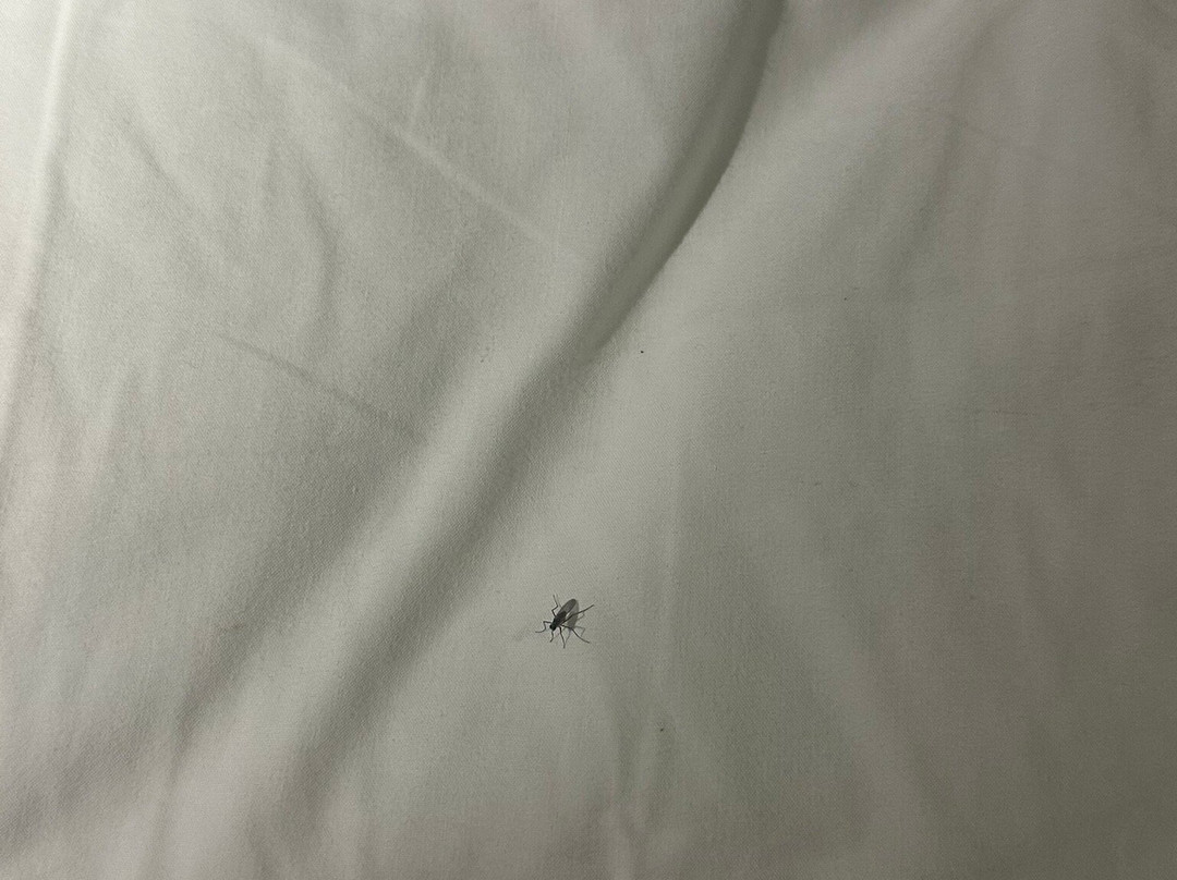 Atlantic Villa Boutique Guesthouse & Conferencing主图