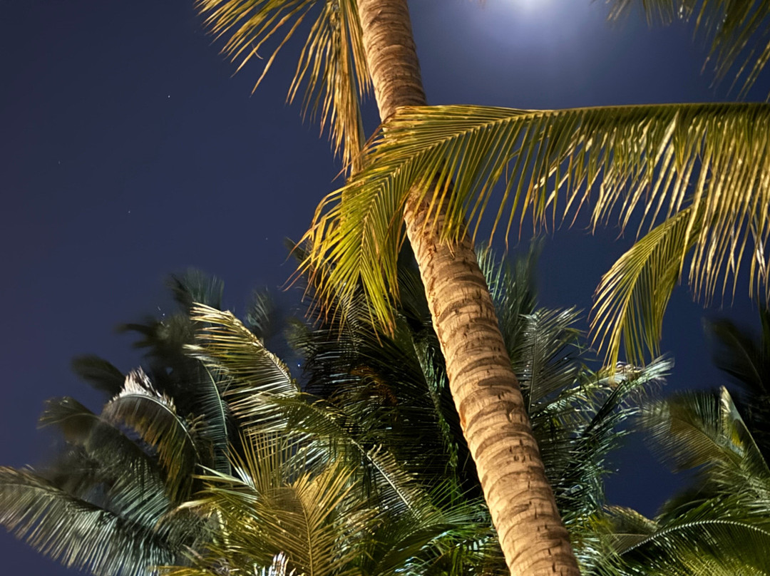 Casa Andina Premium Piura主图