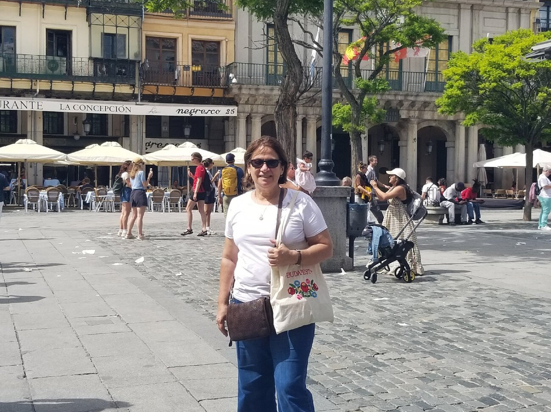 Plaza Mayor-塞哥维亚必去景点