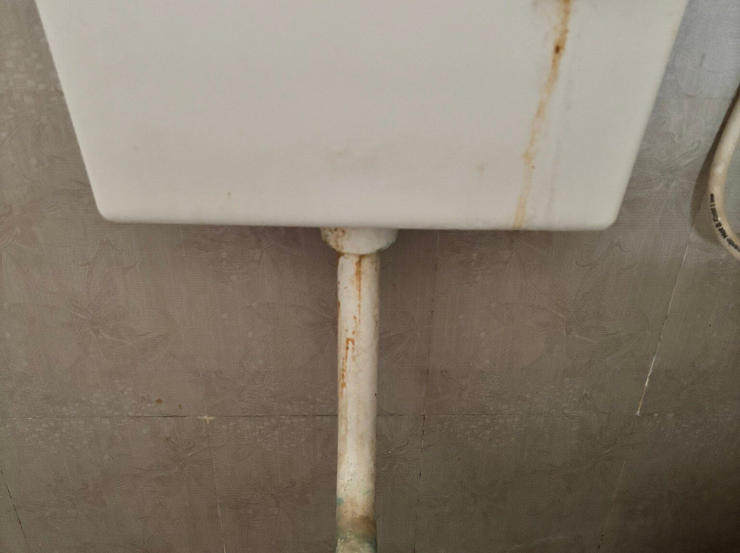 伊甸园丛林度假村主图