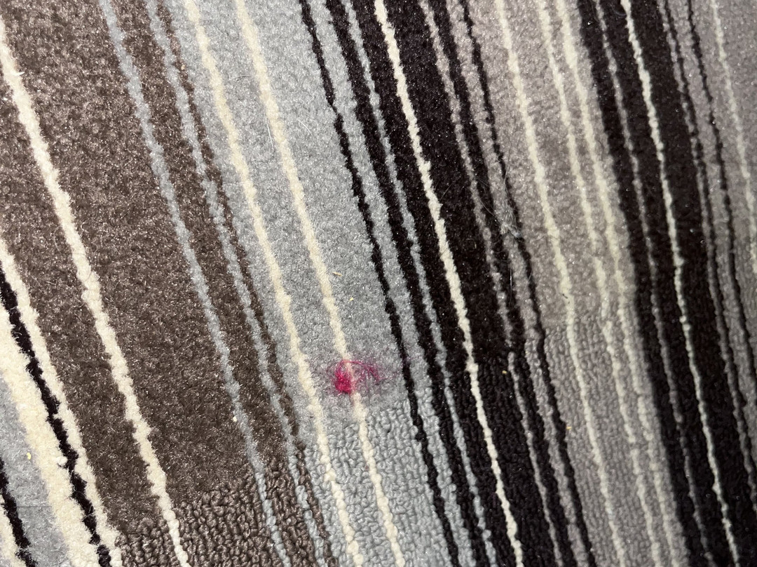 Best Western Plus Crawfordsville Hotel主图