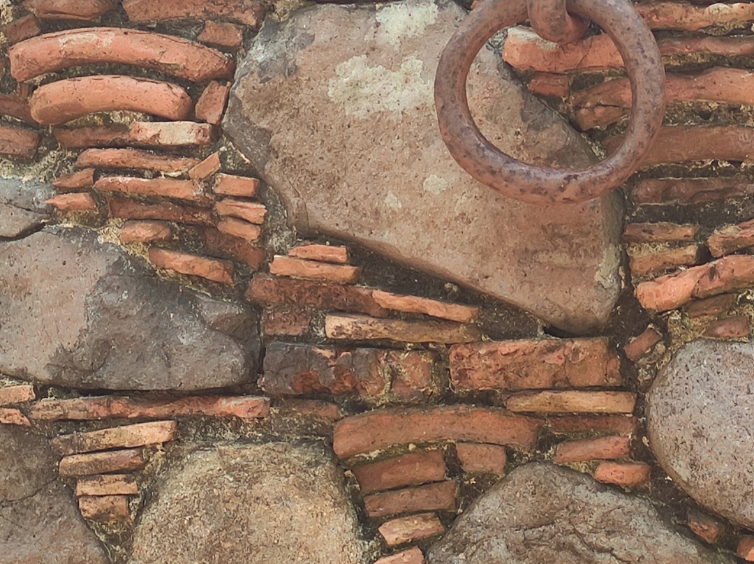 La Colombe-Tartane必去景点