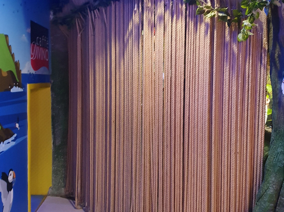 The National Aquarium Abu Dhabi景点图片