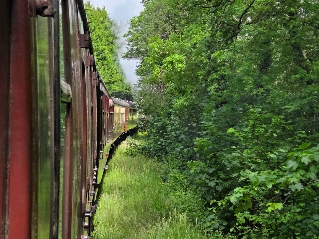 Gwili Railway景点图片