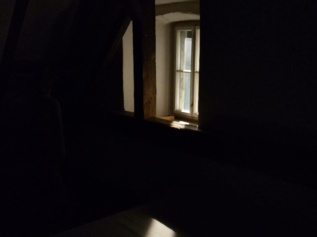 Hildegard Von Bingen Haus-维也纳新城必去景点