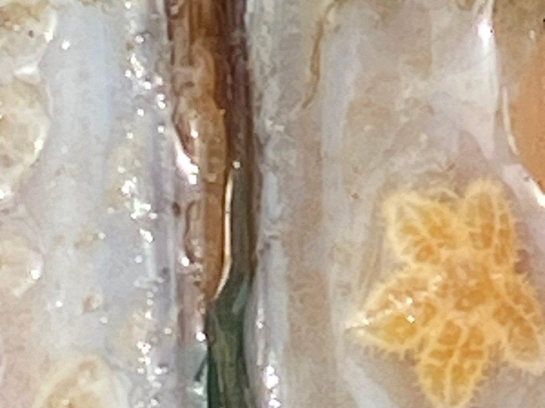 Krabbenfischen mit der MK Moewe-Bensersiel必去景点