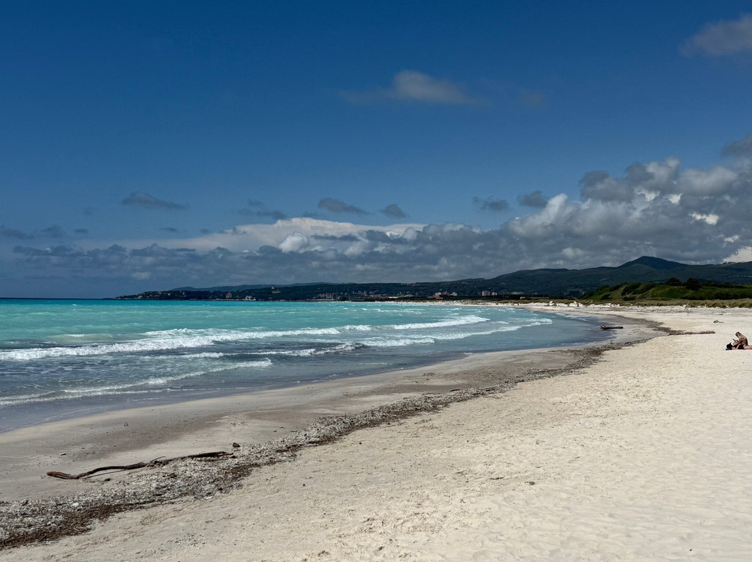 Spiagge Bianche景点图片