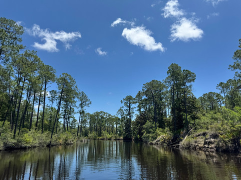 Airboat Adventure-巴拿马城海滩必去景点