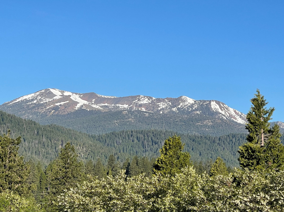 Best Western Plus Tree House主图