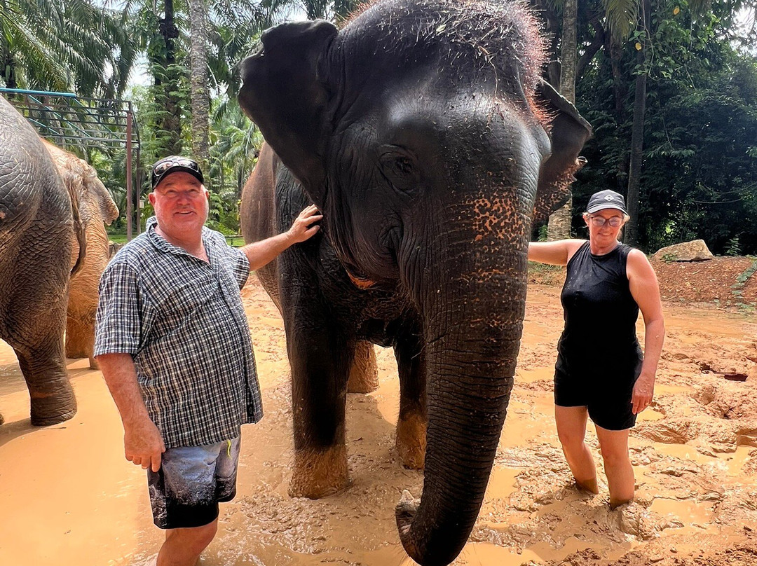 Krabi Elephant Sanctuary景点图片