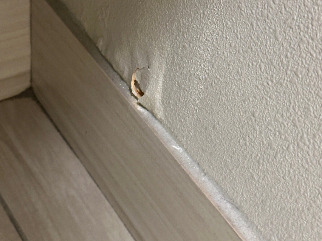 Holiday Inn Express Quantico - Stafford By IHG主图