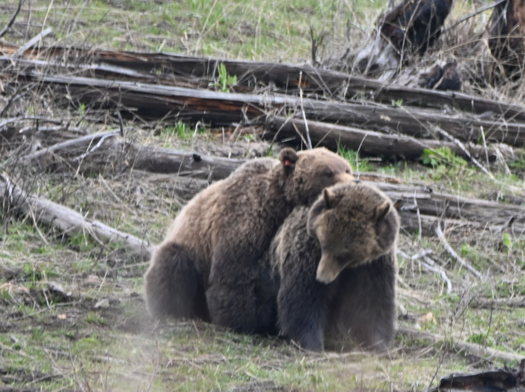 In Our Nature Guiding Services-加德纳必去景点