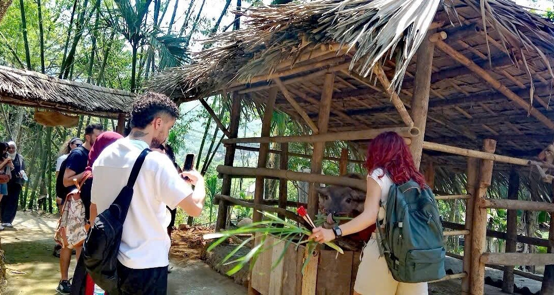 Pu Luong Ancient Stilt House景点图片