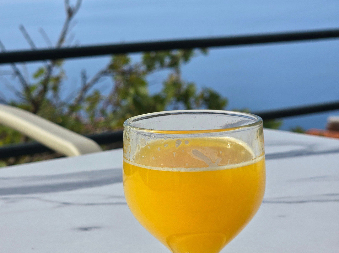 Dragon Tree Travel-沙尔必去景点