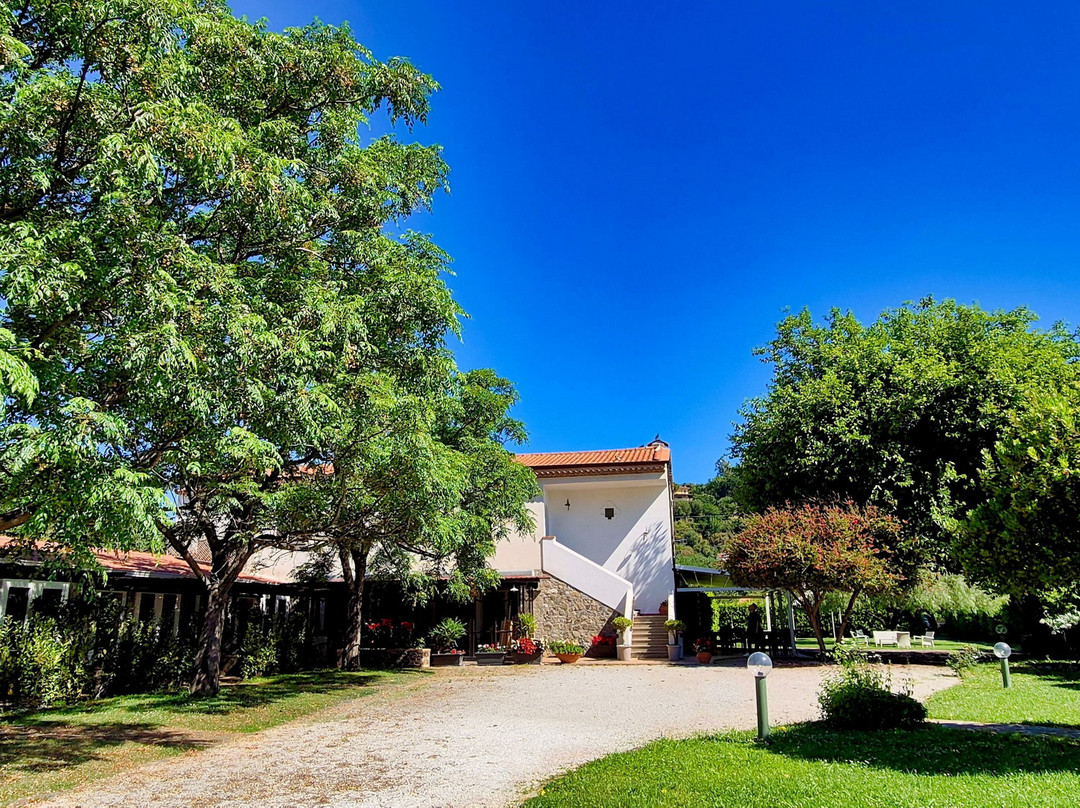 Krio Gelsomare主图