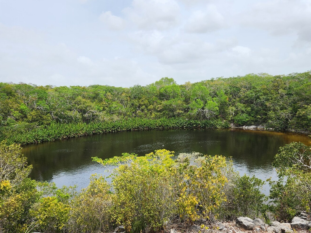 Cottage Pond-North Caicos必去景点