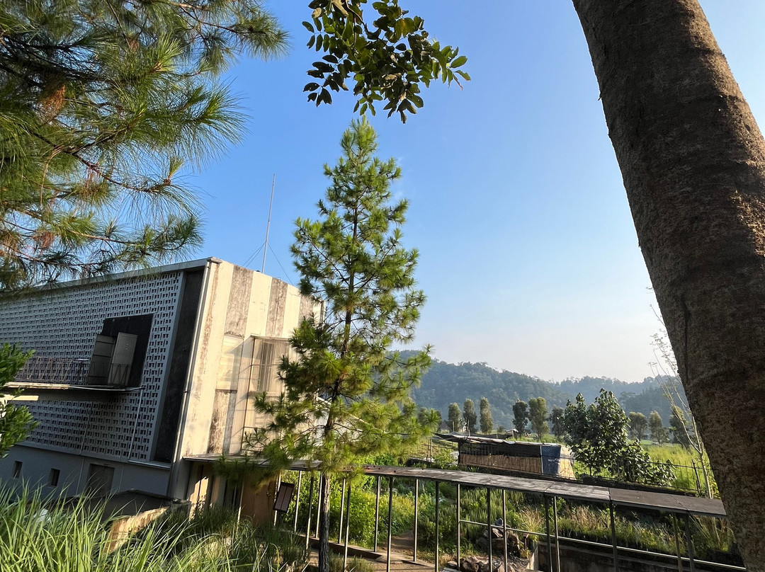 Rumah Atsiri Indonesia景点图片