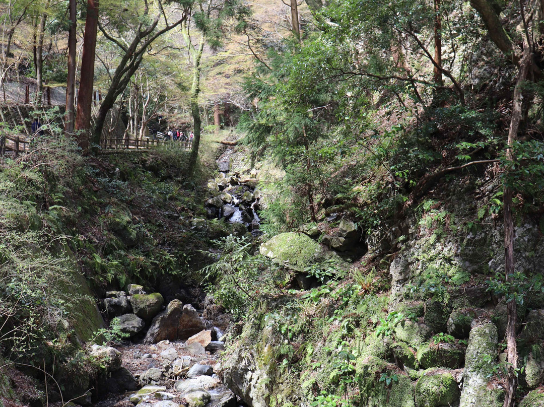 Yoro no Taki Falls-养老町必去景点