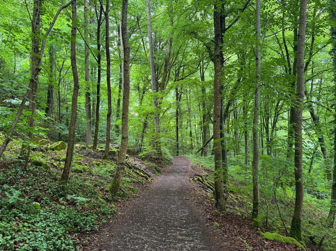 Gorges Du Loup-埃希特纳赫必去景点