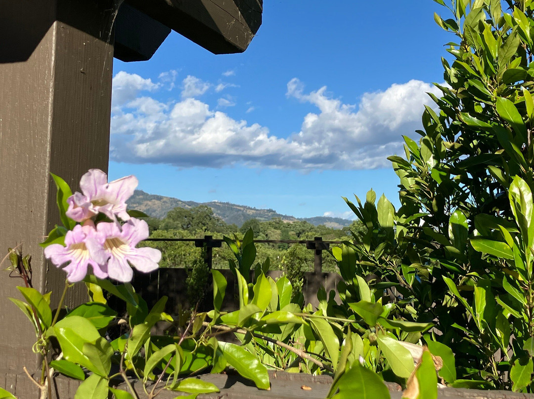 优柔Spa加酒店主图