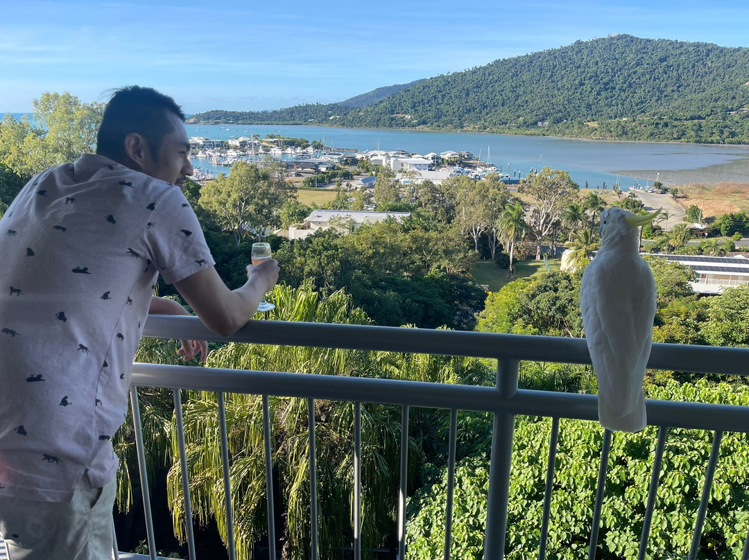 Club Wyndham Airlie Beach: The gateway to the Whitsundays!主图