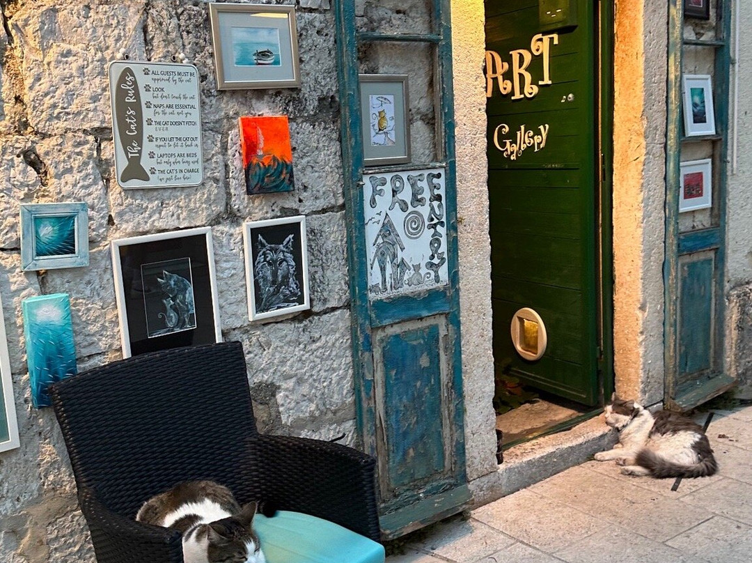 New World Lover Art Galery-玛卡沙必去景点