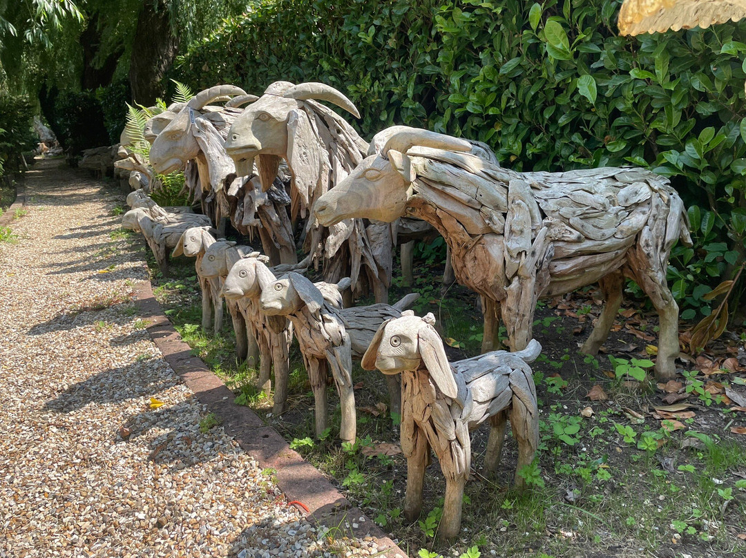 Surrey Hills Tour Company