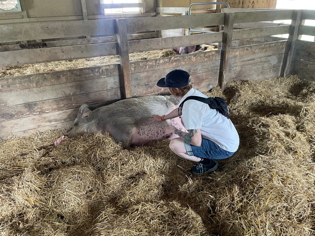 Farm Sanctuary-沃特金斯格伦必去景点