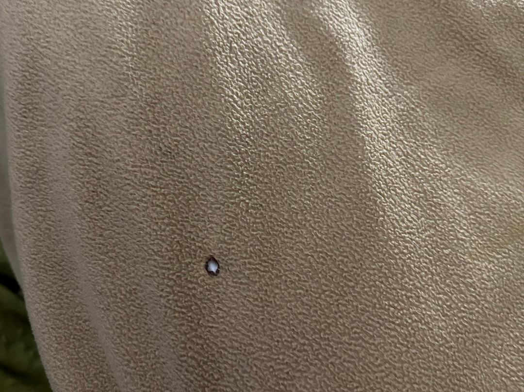 Super 8 by Wyndham Roseville/Detroit Area主图