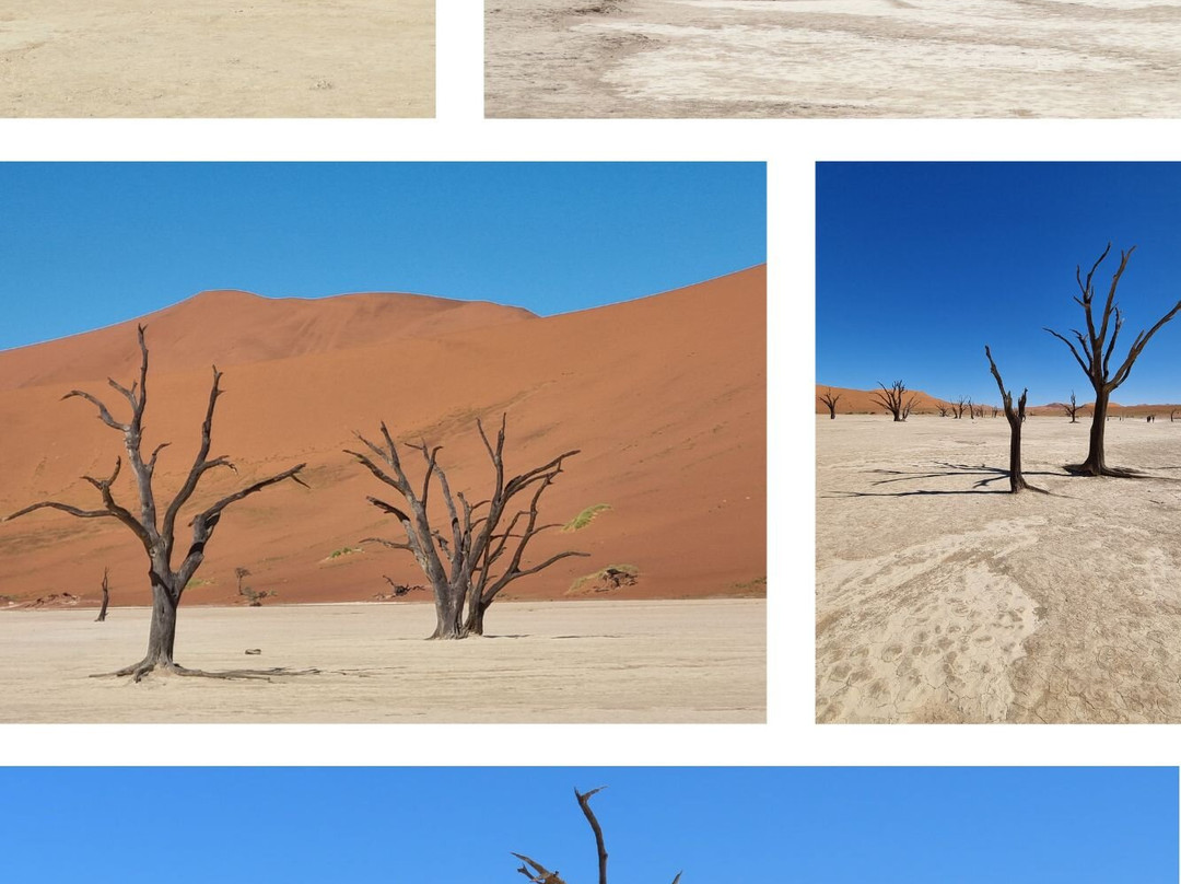 Deadvlei-苏丝斯黎必去景点