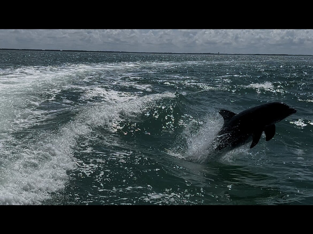 Boats And Fun-North Captiva Island必去景点
