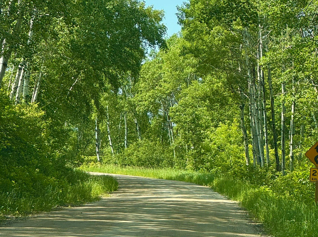 Riding Mountain National Park-Wasagaming必去景点