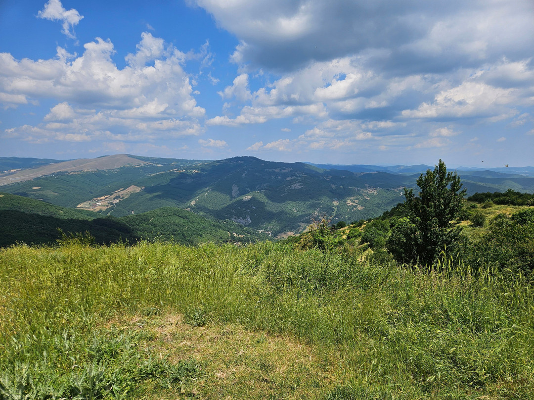Novo Brdo Castle