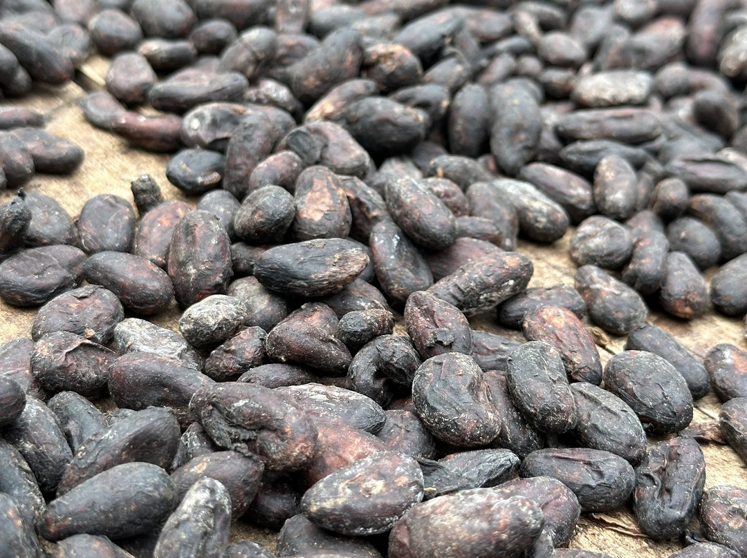 Chocorart-旧港必去景点