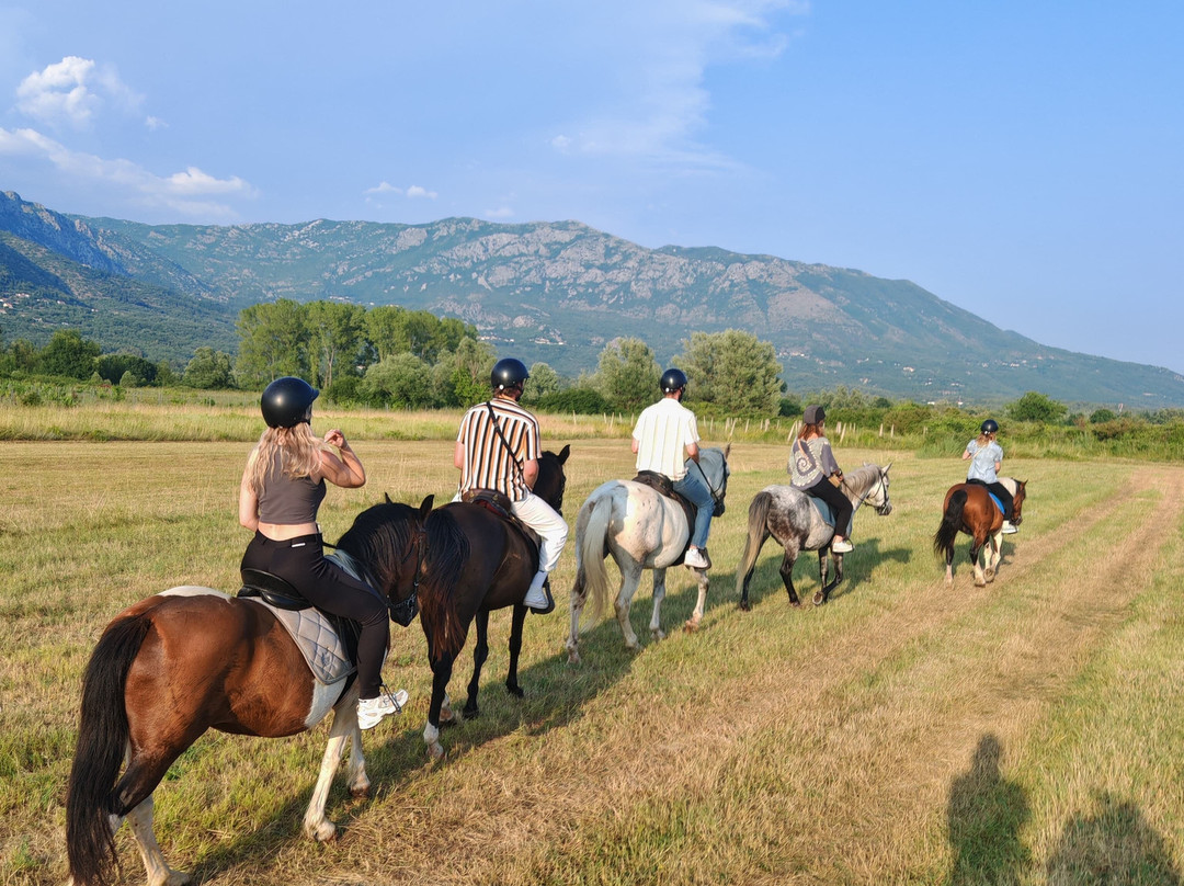 Ranch Dubrovnik-Gruda必去景点