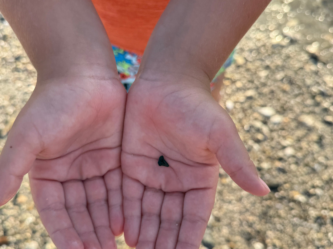 Pogies-Swansboro必去景点