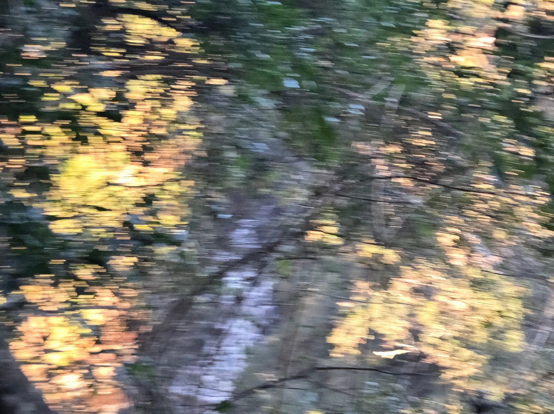 Krantzkloof Nature Reserve-派恩敦必去景点