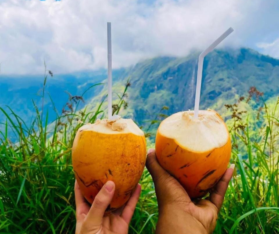 Elephants Safari Cottages