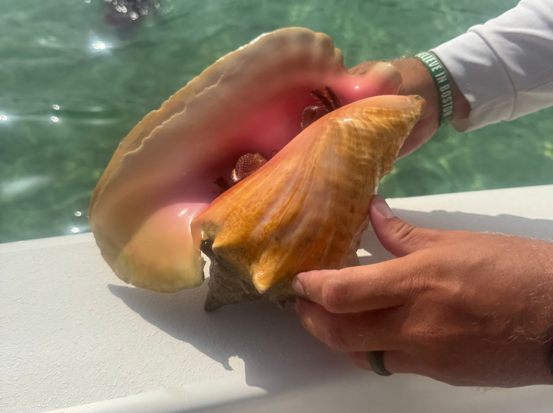 Tyman Fishing Charters-Spanish Wells必去景点