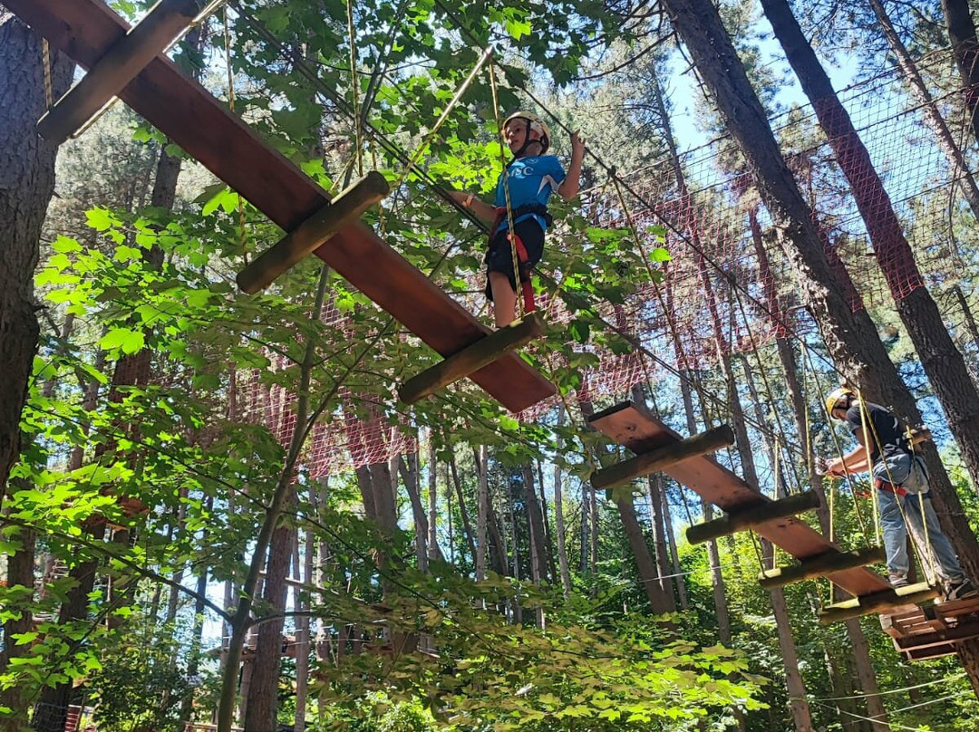 Parco Avventura Montevergine-Ospedaletto d'Alpinolo必去景点
