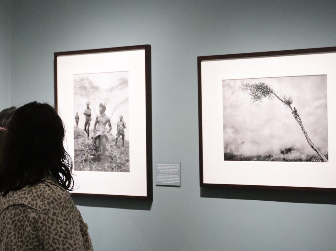 Musee D'art Contemporain-蒙特利玛必去景点