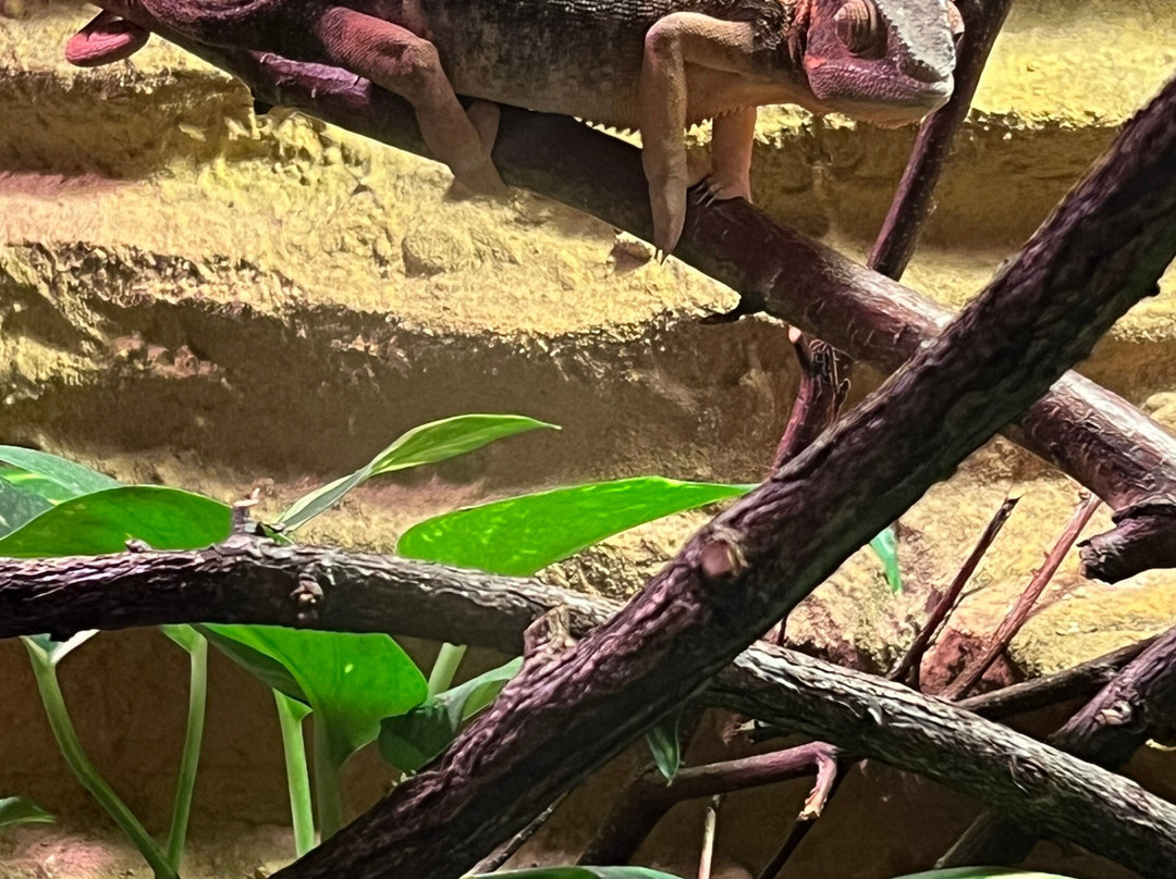Zoo Hodonin-Hodonin必去景点