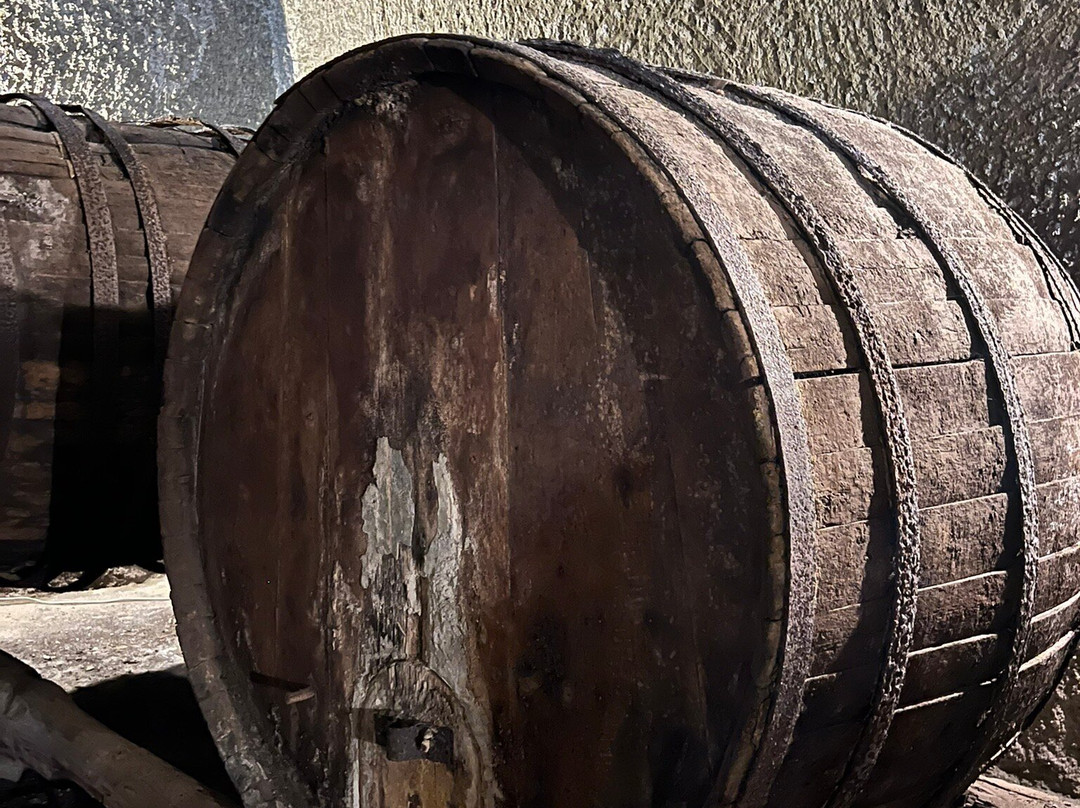 Vini Cenatiempo Ischia-伊斯基亚必去景点