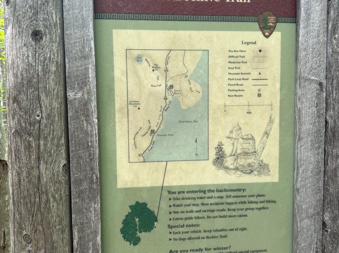 Champlain Mountain & Beehive Loop Trail-阿卡迪亚国家公园必去景点