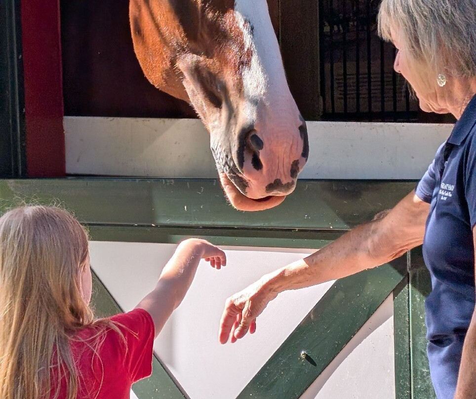 格兰特农场-圣路易斯必去景点
