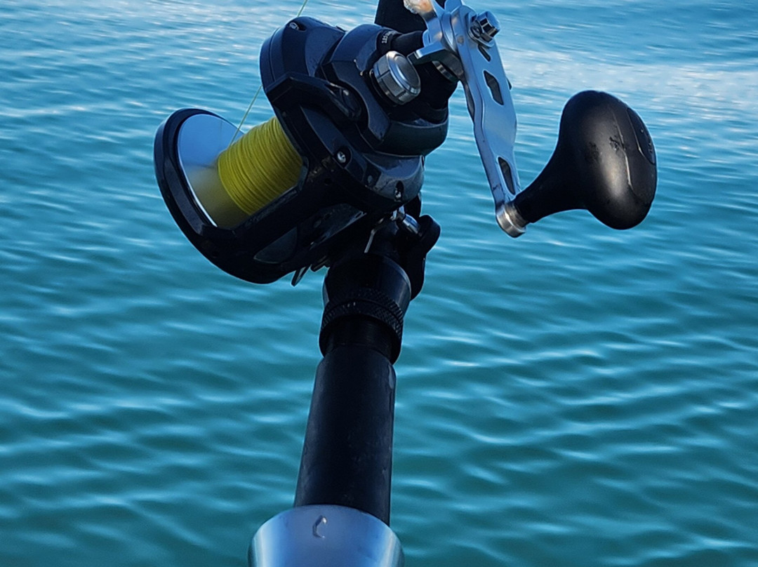 Reel 'Em Inn - Cook Inlet Charters-尼尔奇克必去景点