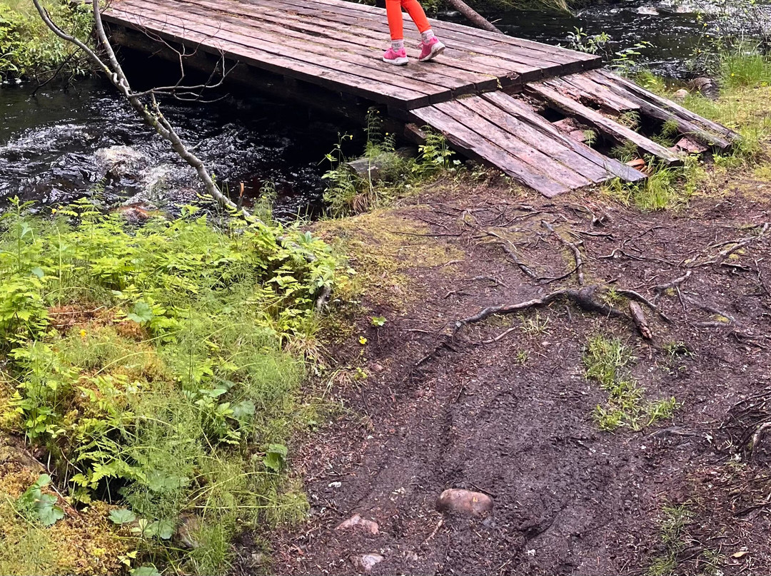 Lofsdalens Fjällhotell主图