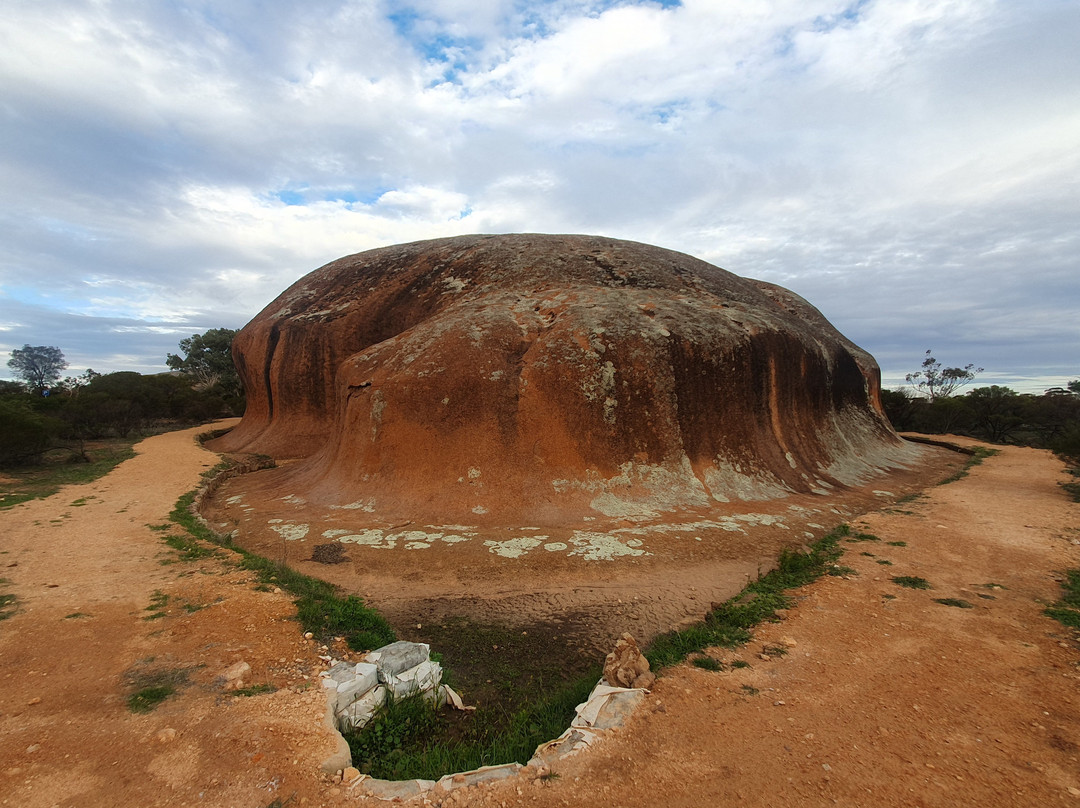 Pildappa Rock-Minnipa必去景点